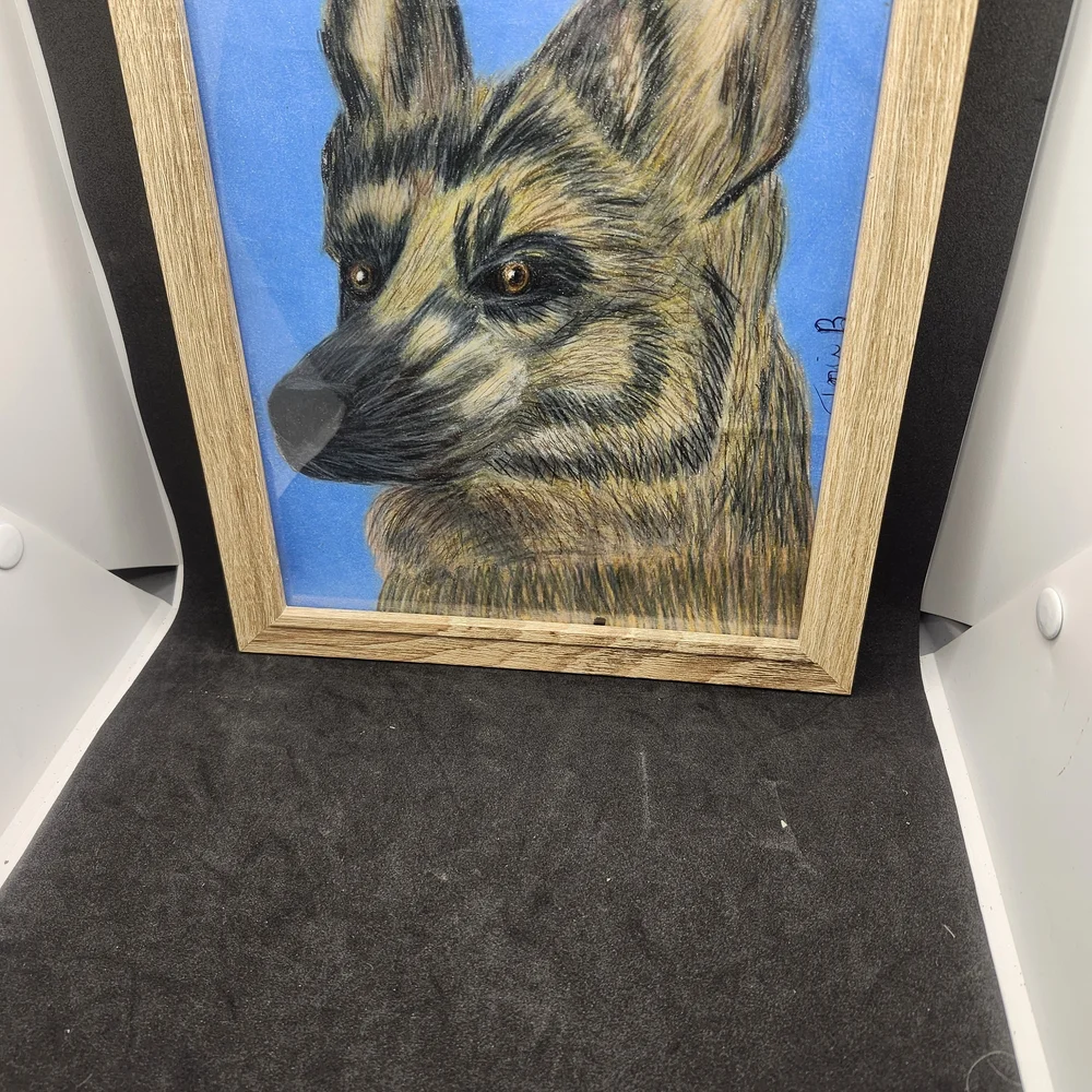 Hand Crafted Framed German Shepherd Colored Pencil Drawing